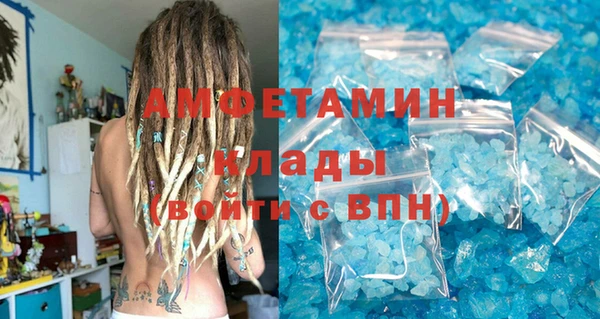 индика Гусев