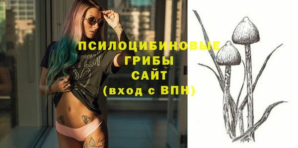 спайс Баксан