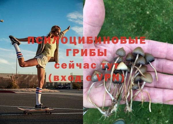 MESCALINE Балахна