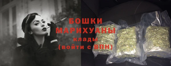 индика Гусев