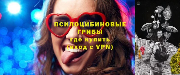 apvp Гусиноозёрск