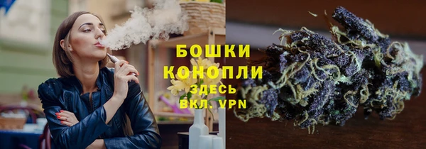 спайс Баксан