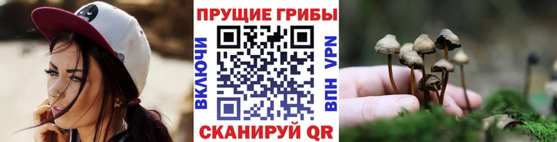 Галлюциногенные грибы MAGIC MUSHROOMS  купить закладку  Няндома 